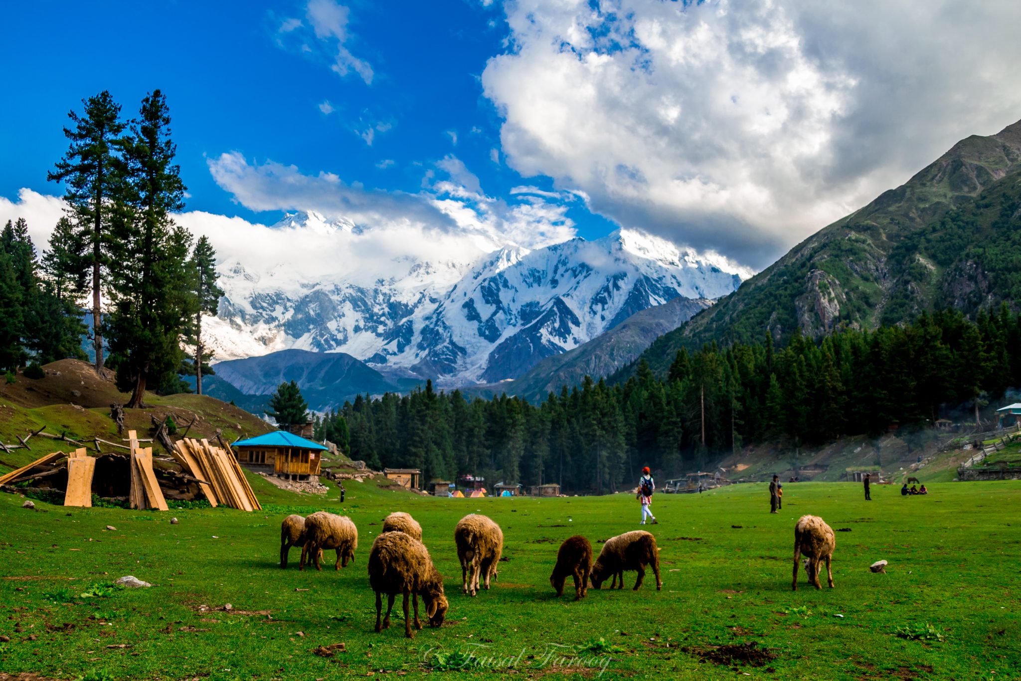 Read more about the article FAIRY MEADOWS HUNZA TOUR BY PAKISTAN TOURS AND PACKAGES